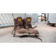 Cat Botines Second Shift St