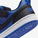 Nike Court Borough Low Recraft PS